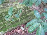 image of grave number 197929